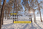 Forest and Snow Beach 37 Min Advanced Walk thumbnail