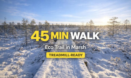 Eco Trail Marsh 45 Min Fast Walk route preview