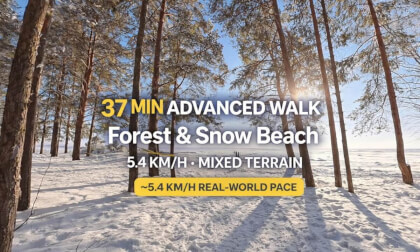 Forest and Snow Beach 37 Min Advanced Walk route preview
