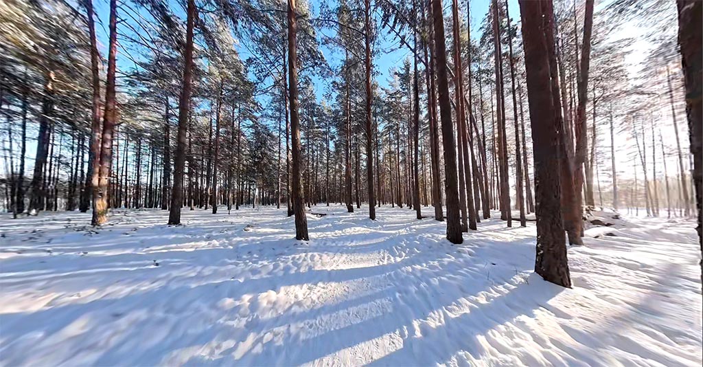 Winter Park 40 min screenshot