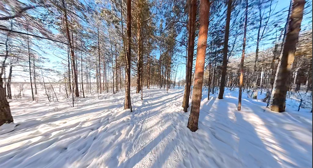 Eco Trail 50 min screenshot