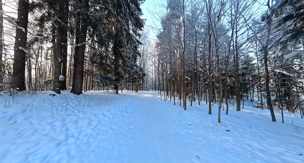 Forest & Snow Beach 37 min screenshot