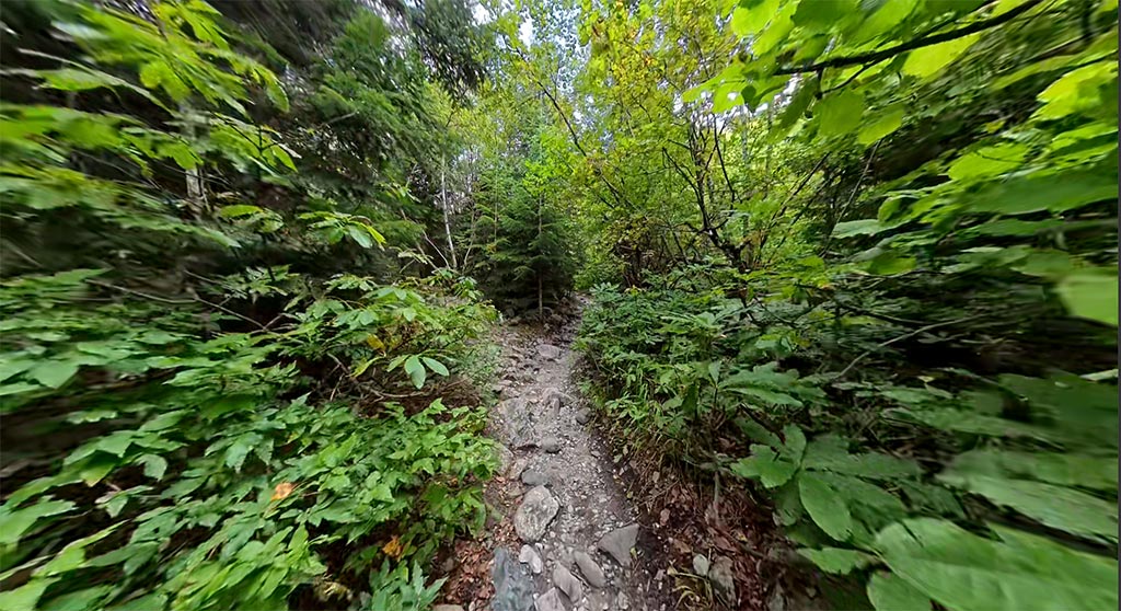 Eco Trail Marsh 45 min screenshot